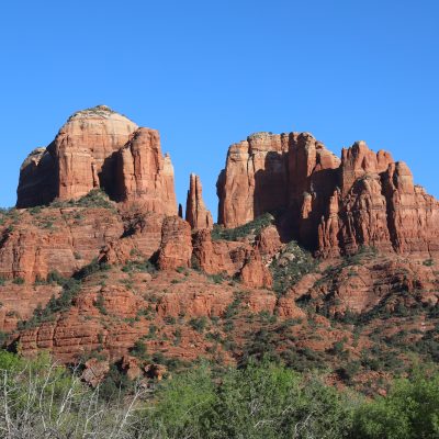 Client Spotlight: How Conservation Legacy’s Board Aligned Organizational Vision with Mission